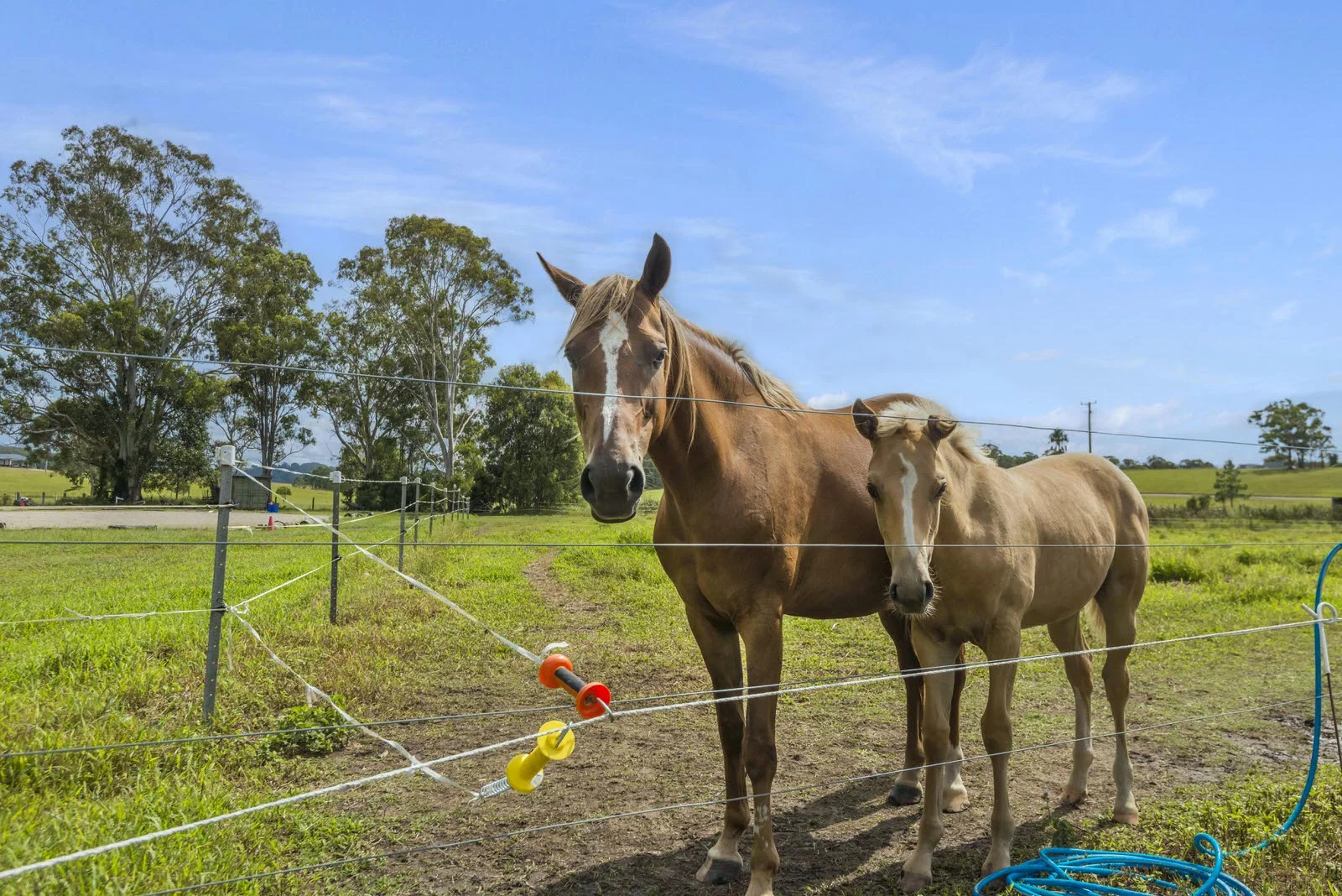 Additional image 23 of 406 Old Bagotville Road, Bagotville NSW 2477