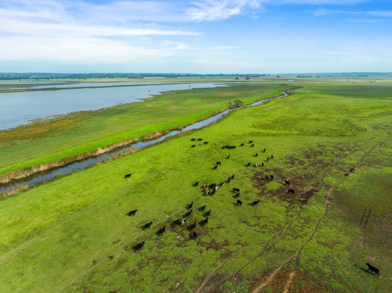 Additional image 12 of 393 & 428 Sandy Flat Road, Brodribb River VIC 3888