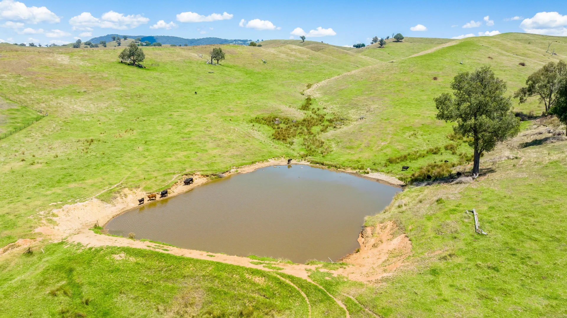 Additional image 14 of "Tom's" Tallys Lane, Tallangatta Valley VIC 3701
