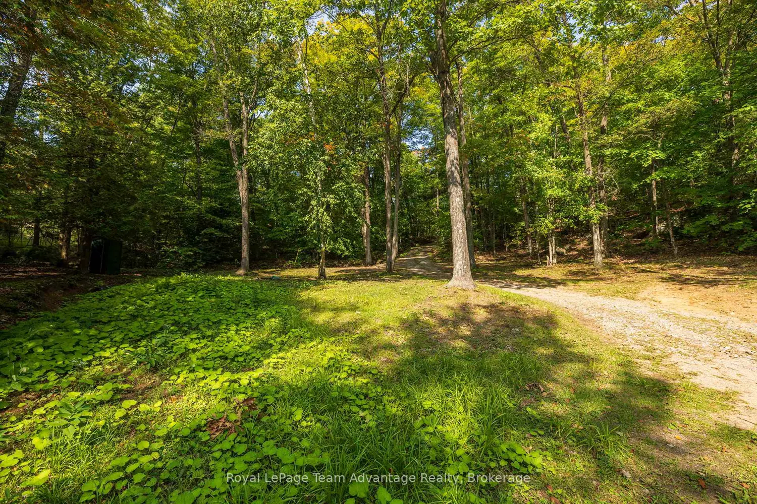 Additional image 13 of 11 Veronica Gene Lane