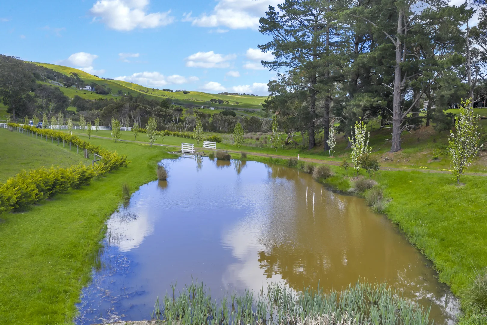 Additional image 25 of 125 Trew Road, Woolamai VIC 3995