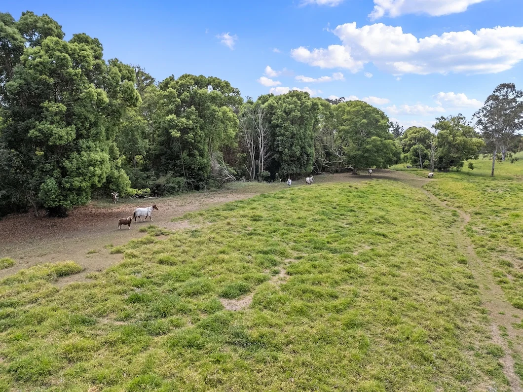 Additional image 23 of Proposed Lot 4, 41 Yabba Road, Imbil QLD 4570