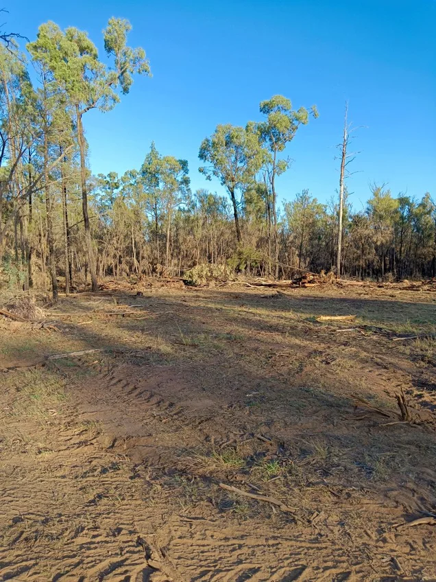 Additional image 5 of Lot 348 Butterfly Road, Tara QLD 4421