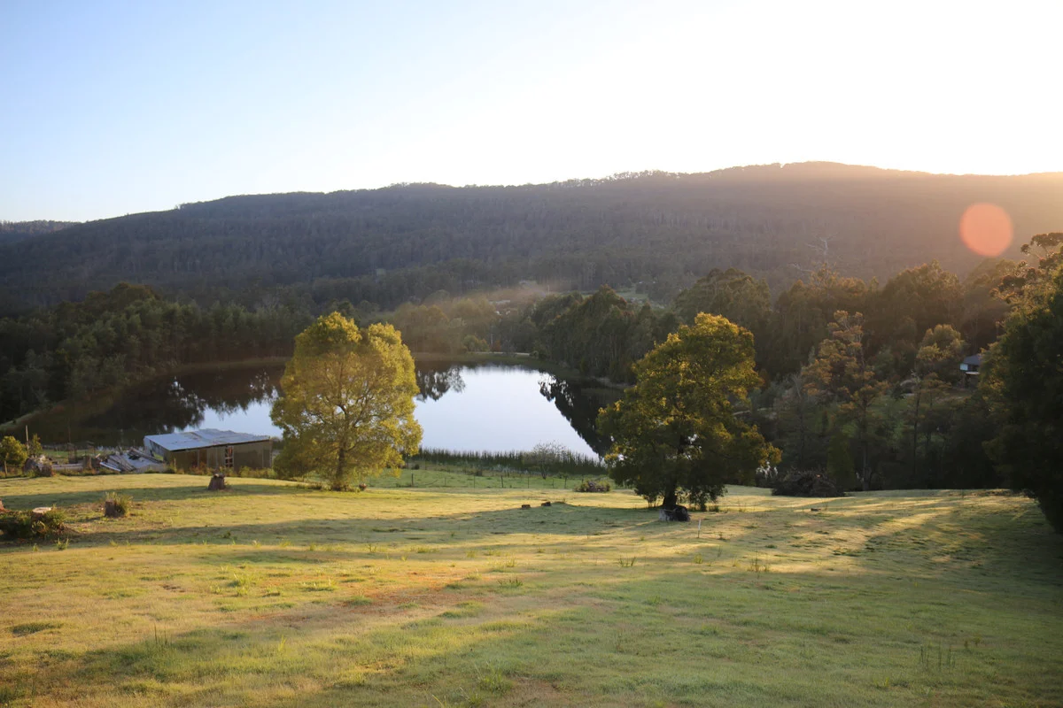 1/75 Lakeside Drive, Acacia Hills TAS 7306