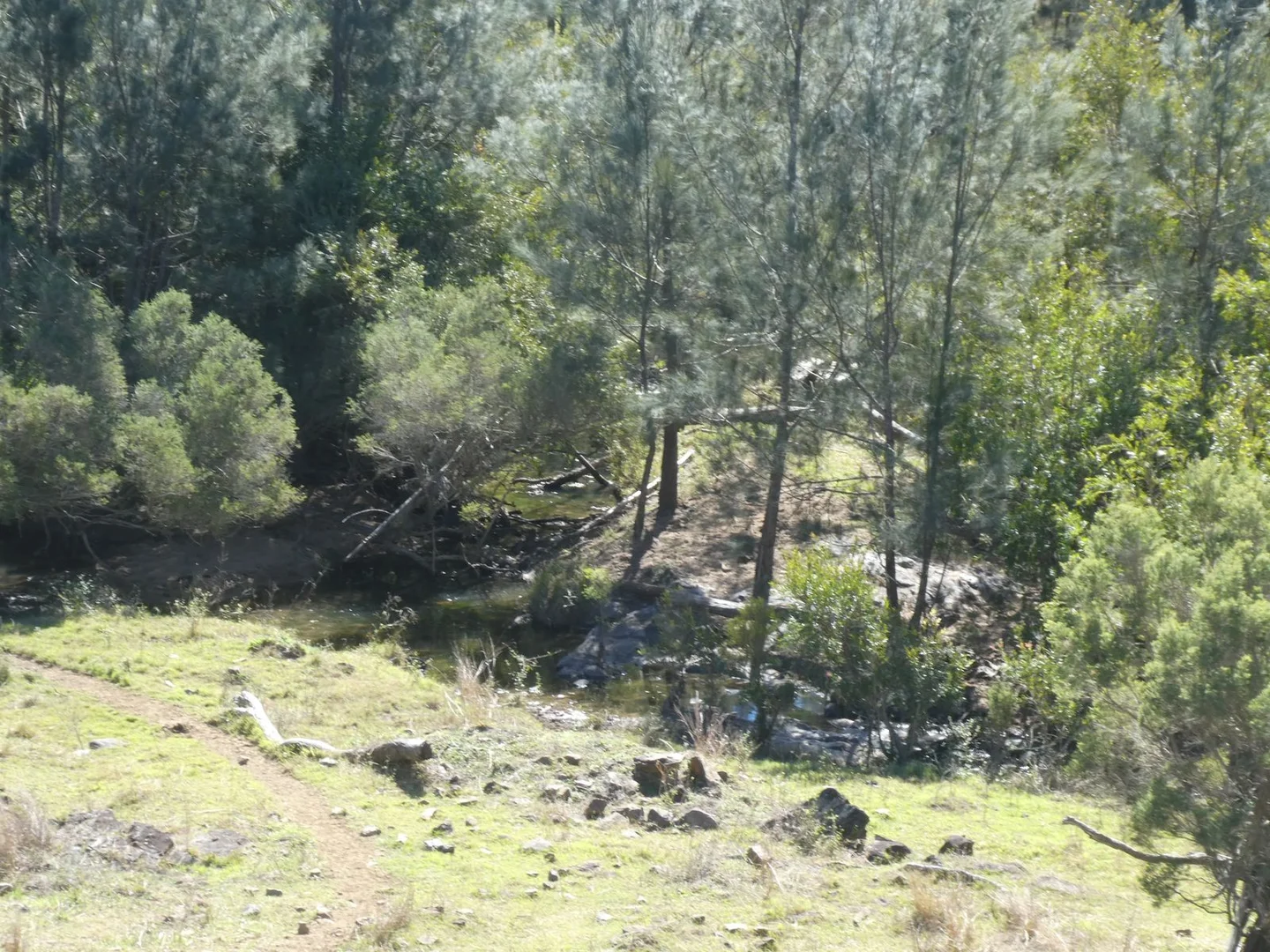 Additional image 19 of 59 Mungy Road, Mungy QLD 4671