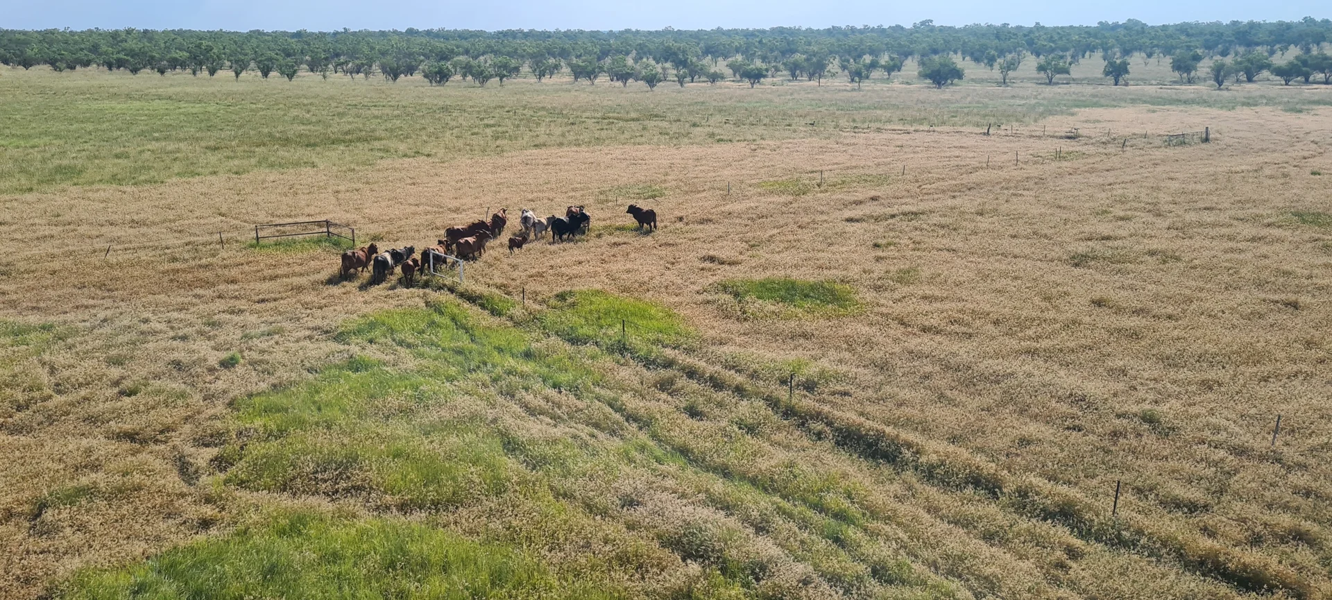 Additional image 18 of Great Northern Highway, Derby WA 6728