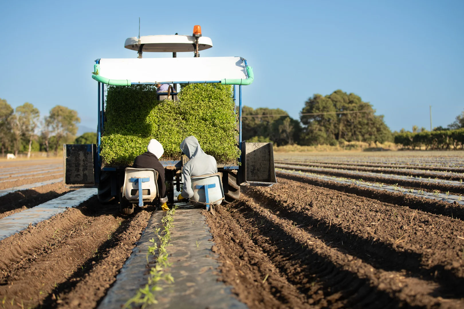Additional image 5 of 37 Inveroona Road, Bowen QLD 4805