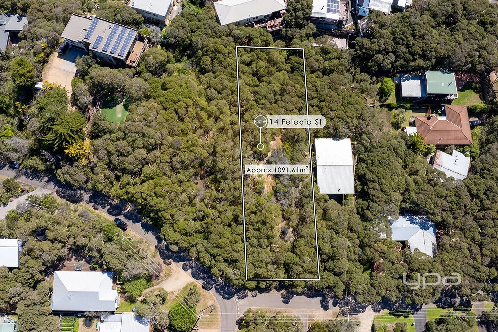 Additional image 4 of 14 Felecia Street, Rye VIC 3941