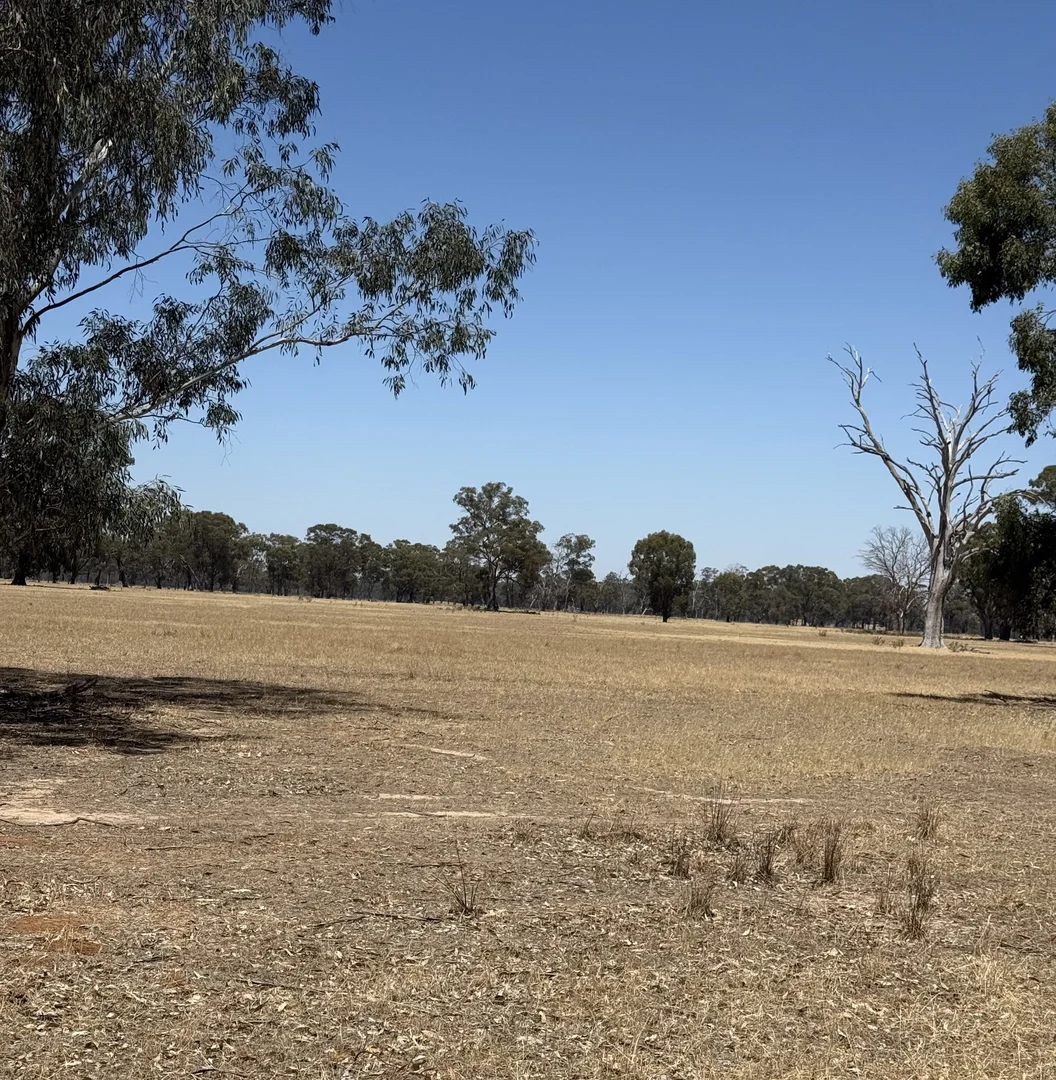 Additional image 10 of Cnr Clohessy Road and Escort Bridge Road, Norong VIC 3682