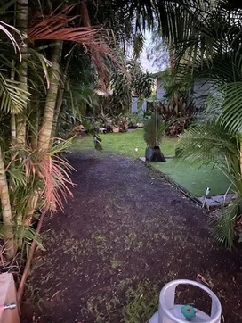 Additional image 7 of 53 Hilary Street, The Gap QLD 4825