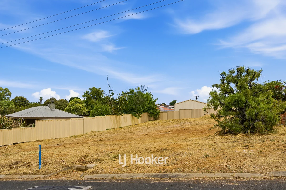 Additional image 9 of 291 Steere Street N, Collie WA 6225