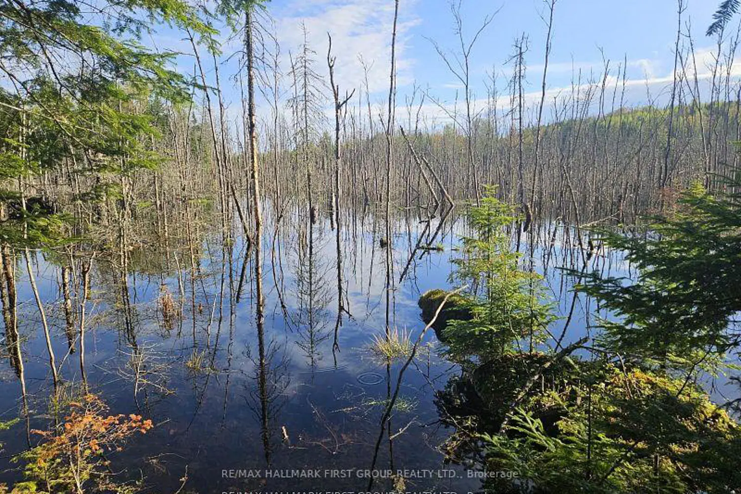Additional image 18 of 678 Centreview Road