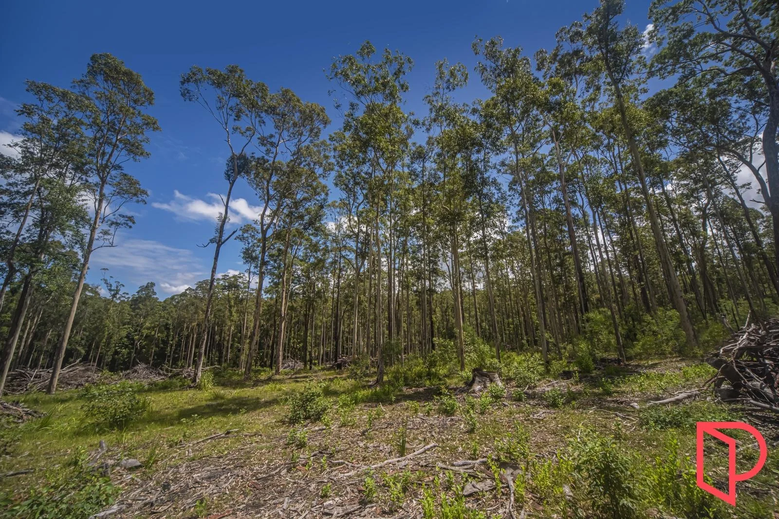 Additional image 10 of 42 Turpentine Road, Tomerong NSW 2540