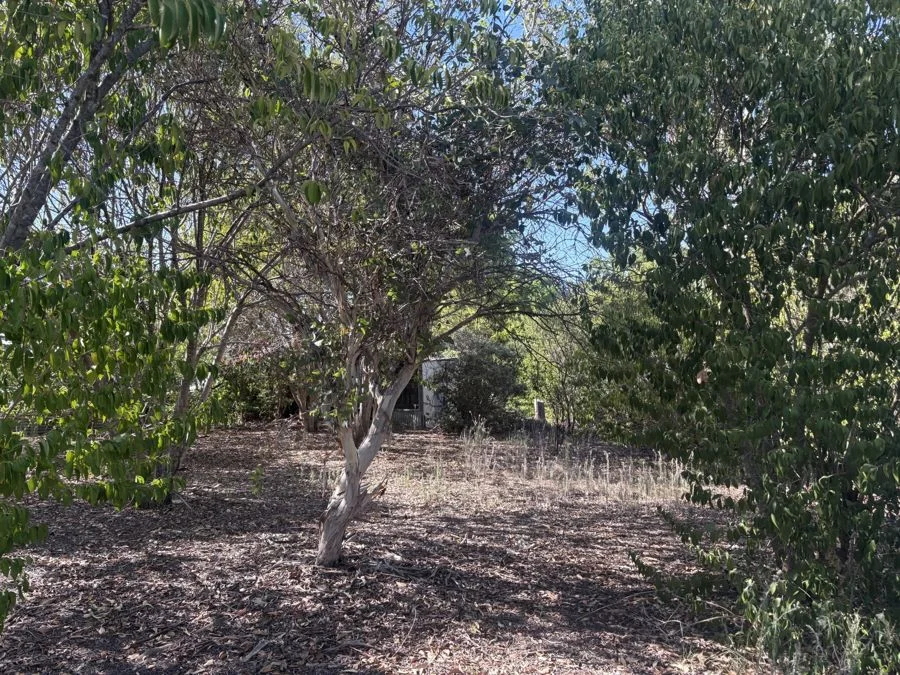 Additional image 10 of 90 Long Street, Warialda NSW 2402