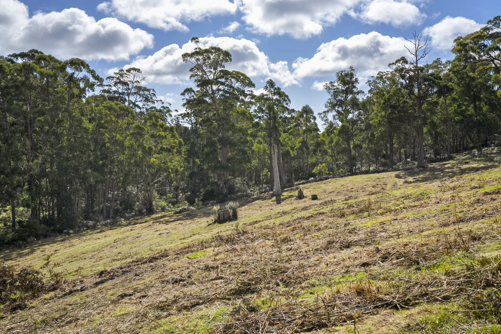 Additional image 33 of 129 Littles Road, Premaydena TAS 7185