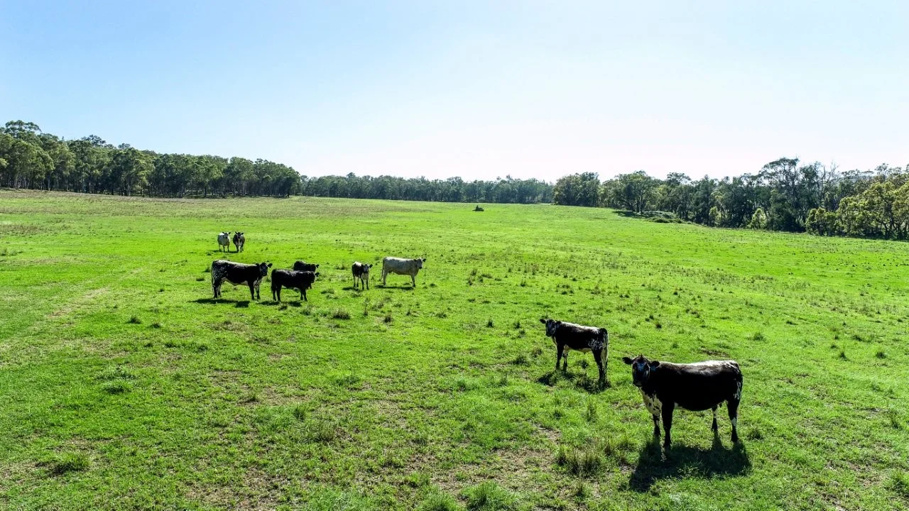 Additional image 4 of 702 Timor Road, Coonabarabran NSW 2357