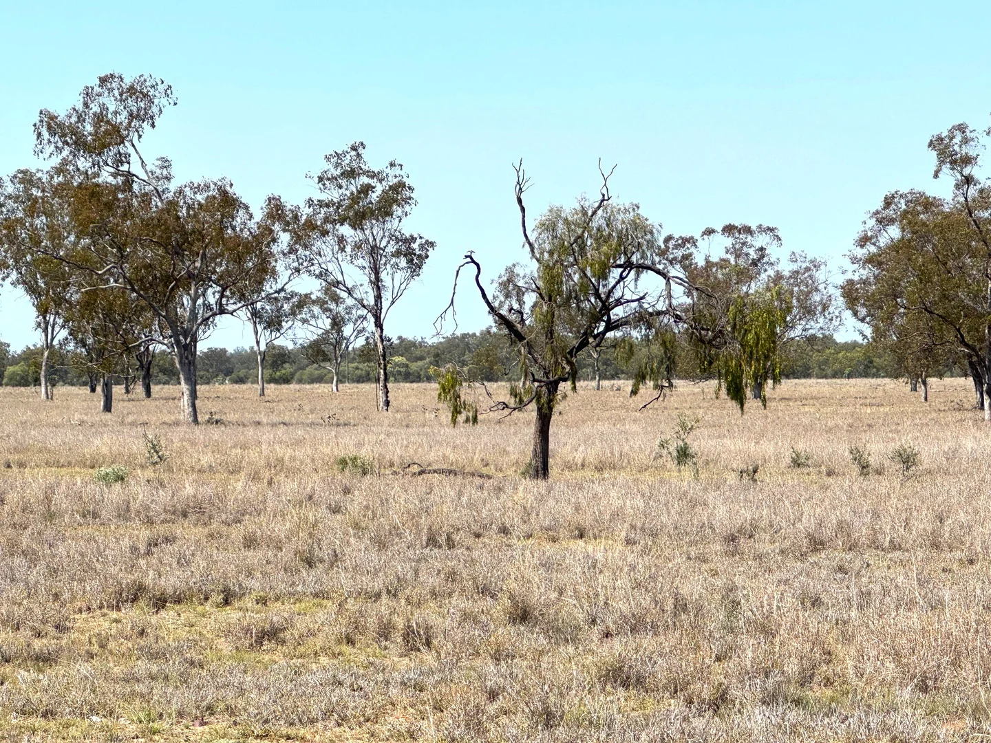 Additional image 3 of 167 Geoghegan Road, Roma QLD 4455
