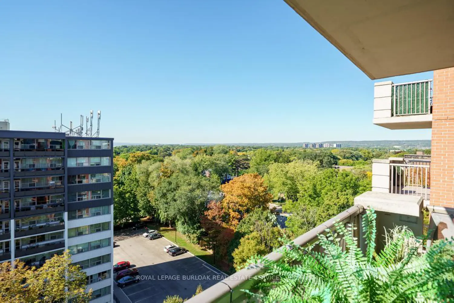 Additional image 15 of 442 Maple Avenue 1101