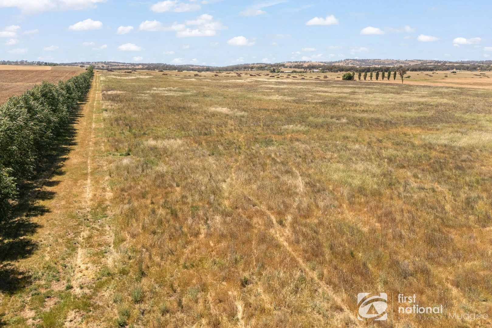 Additional image 11 of 132 Shiraz Drive, Gulgong NSW 2852