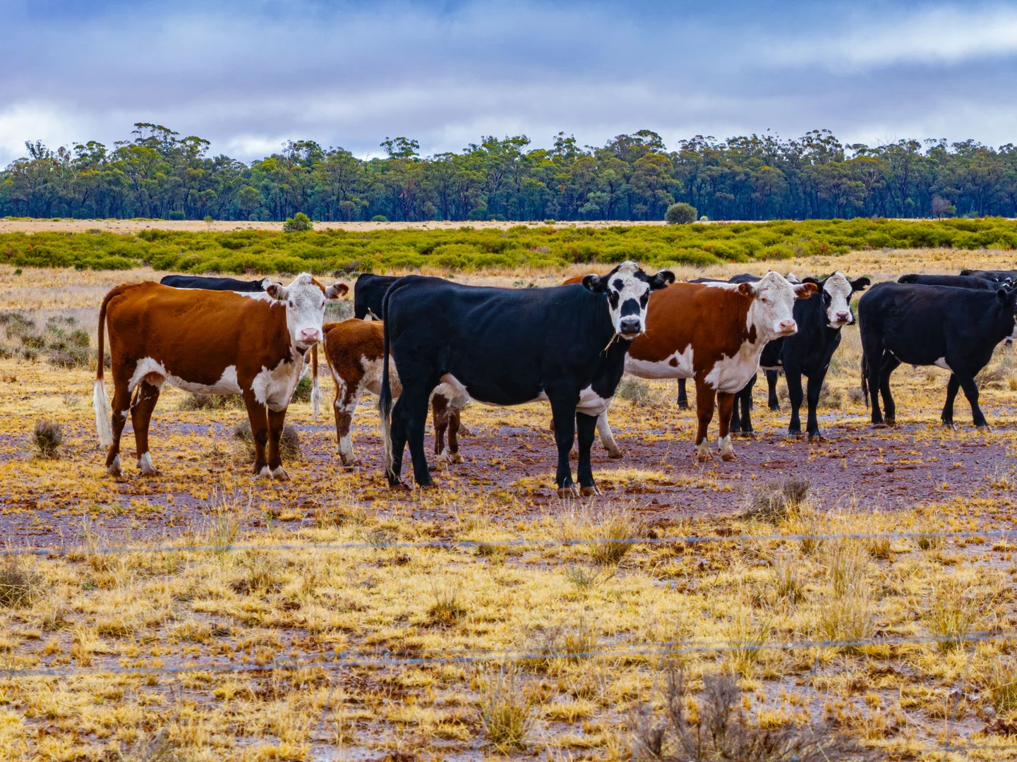 Additional image 27 of 'Woroona' & 'Tralee' 936 Boorr Hill Road, Parkes NSW 2870