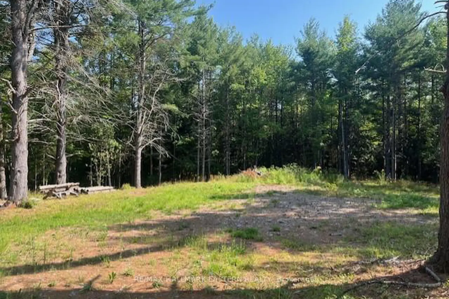 Additional image 4 of 942 Balmer Road