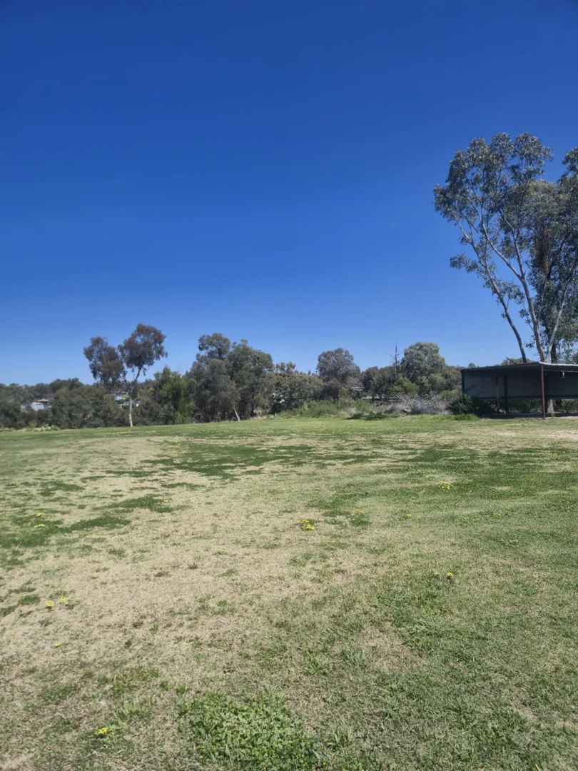 Additional image 4 of 71 Hope Street, Warialda NSW 2402