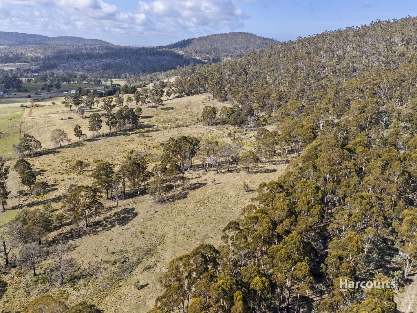 Additional image 6 of Lot 1/4115 Tasman Highway, Runnymede TAS 7190