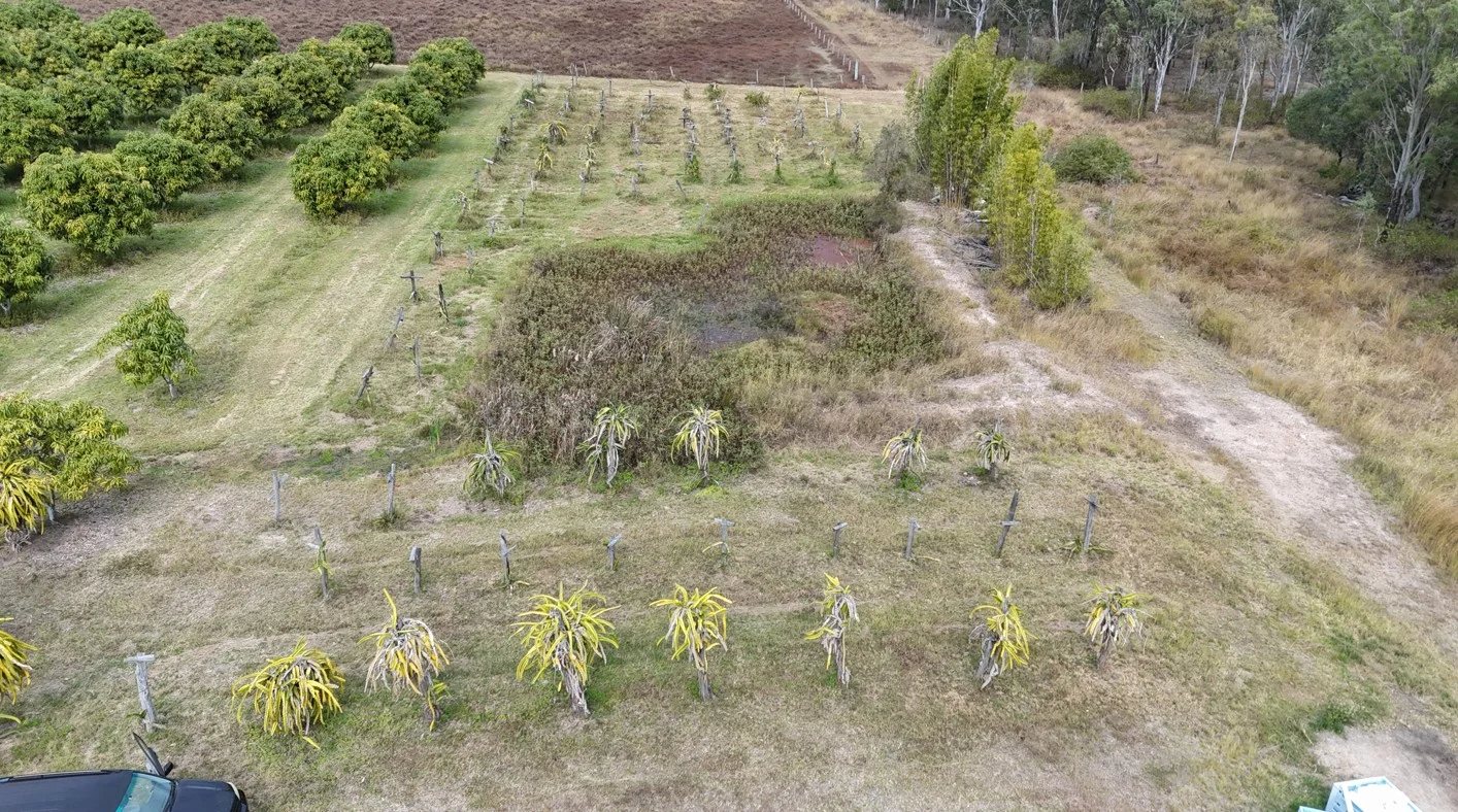 Additional image 6 of 70 Walla Road, Wallaville QLD 4671