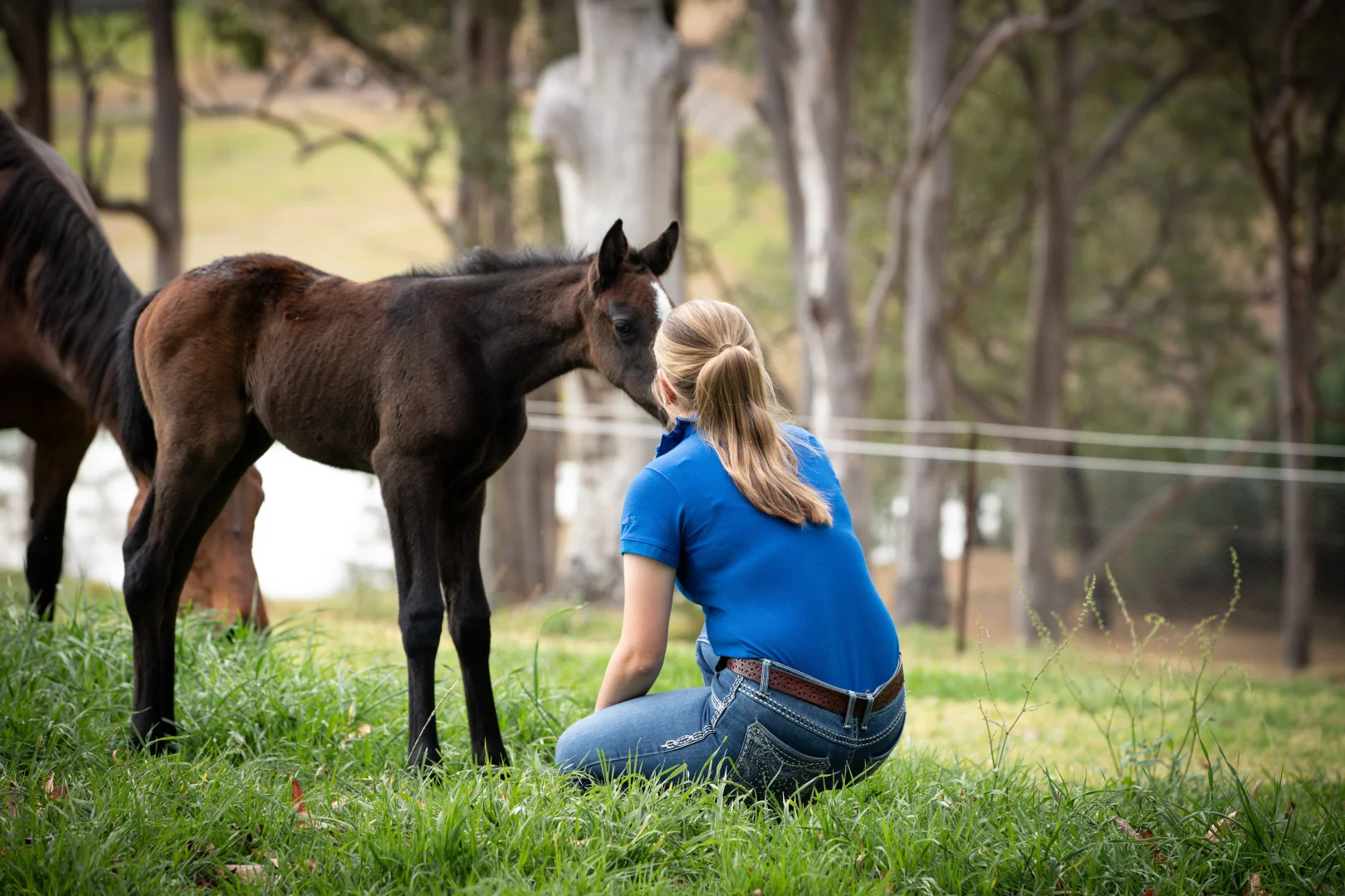 Additional image 4 of 104 Cabbage Tree Road, Grose Vale NSW 2753