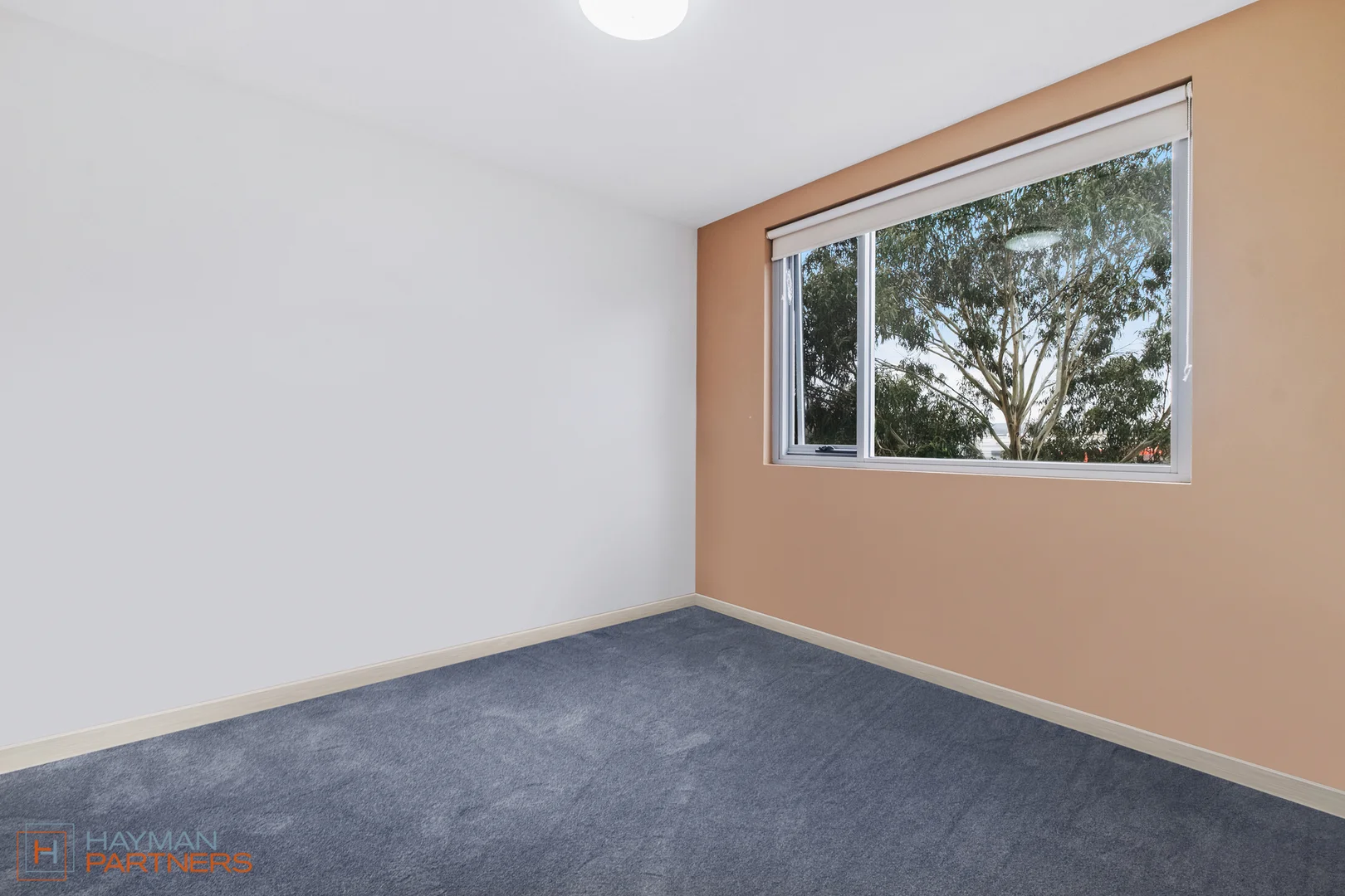 Additional image 8 of 67/98 Corinna Street, Phillip ACT 2606