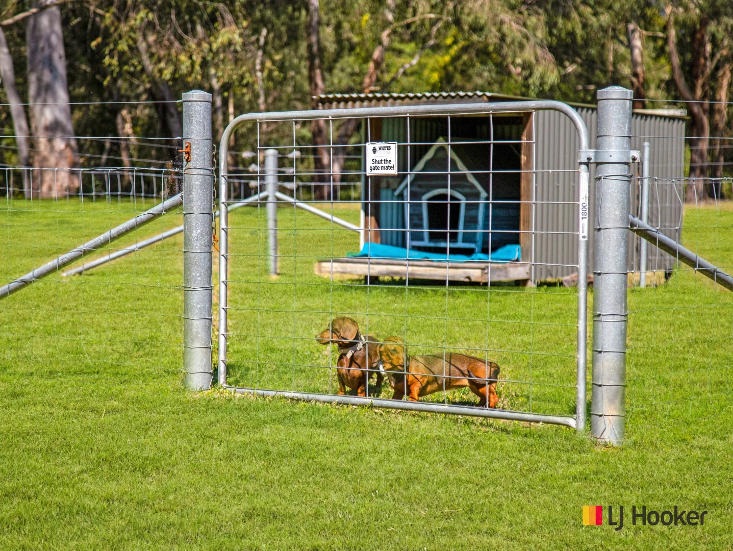 Additional image 24 of 3032 The River Road, Currowan NSW 2536