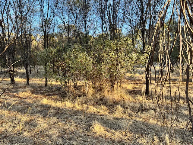 Additional image 24 of 964 Dobaderry Road, Beverley WA 6304