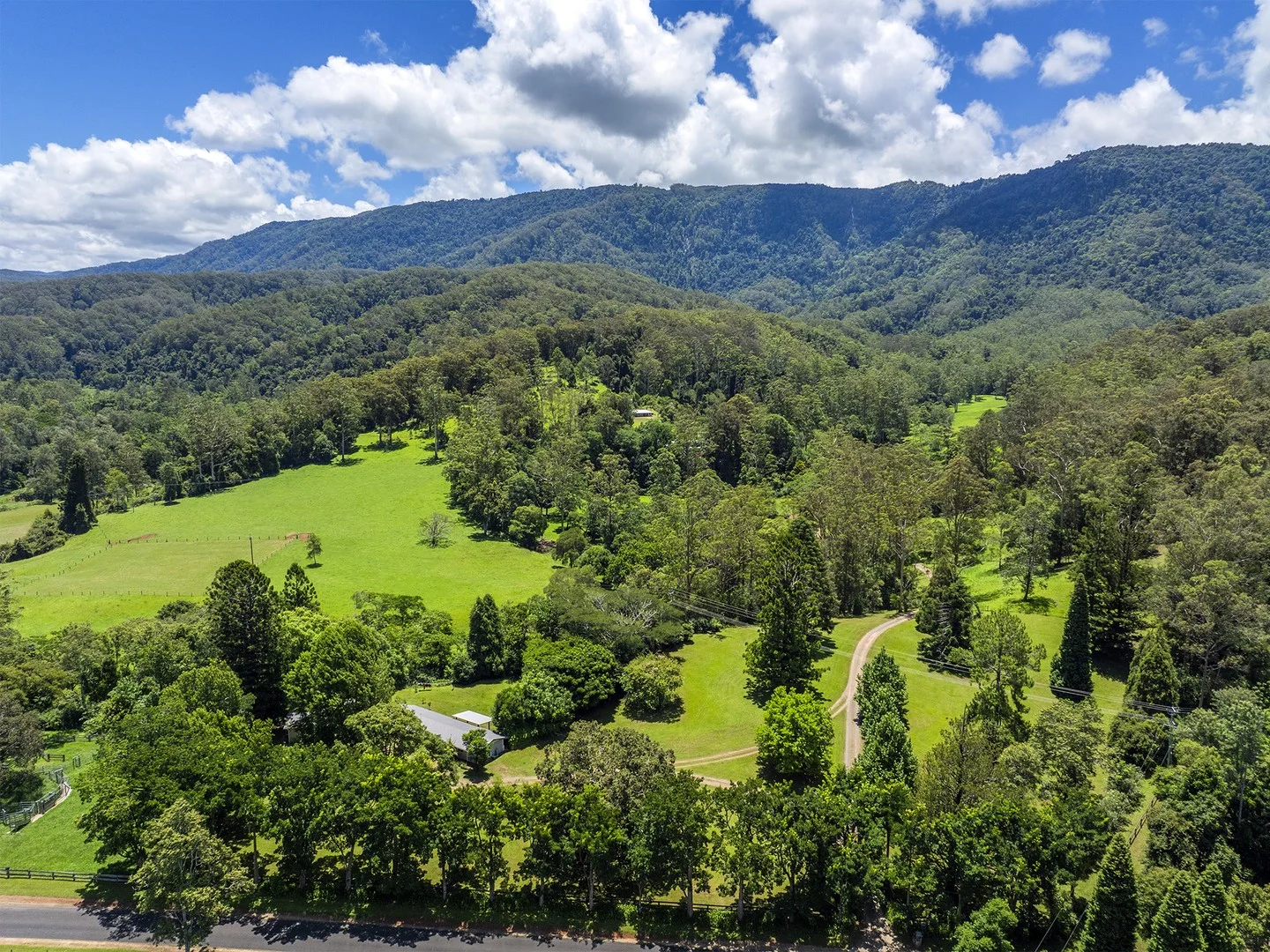 650 Darkwood Road, Thora NSW 2454