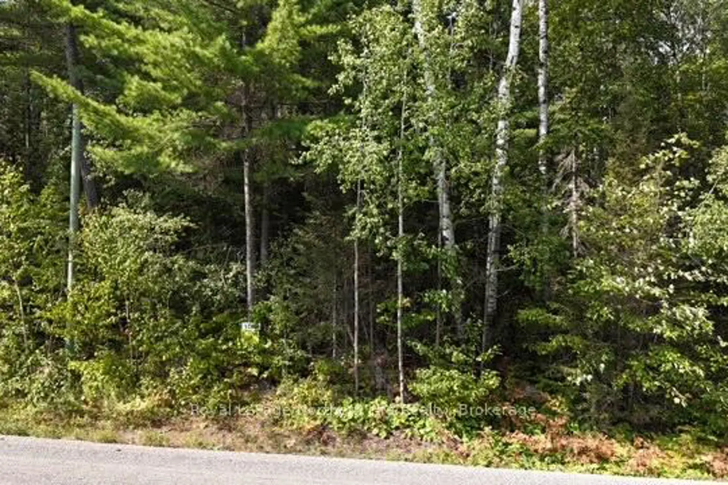 Additional image 3 of Lot 9 Fox Run Drive