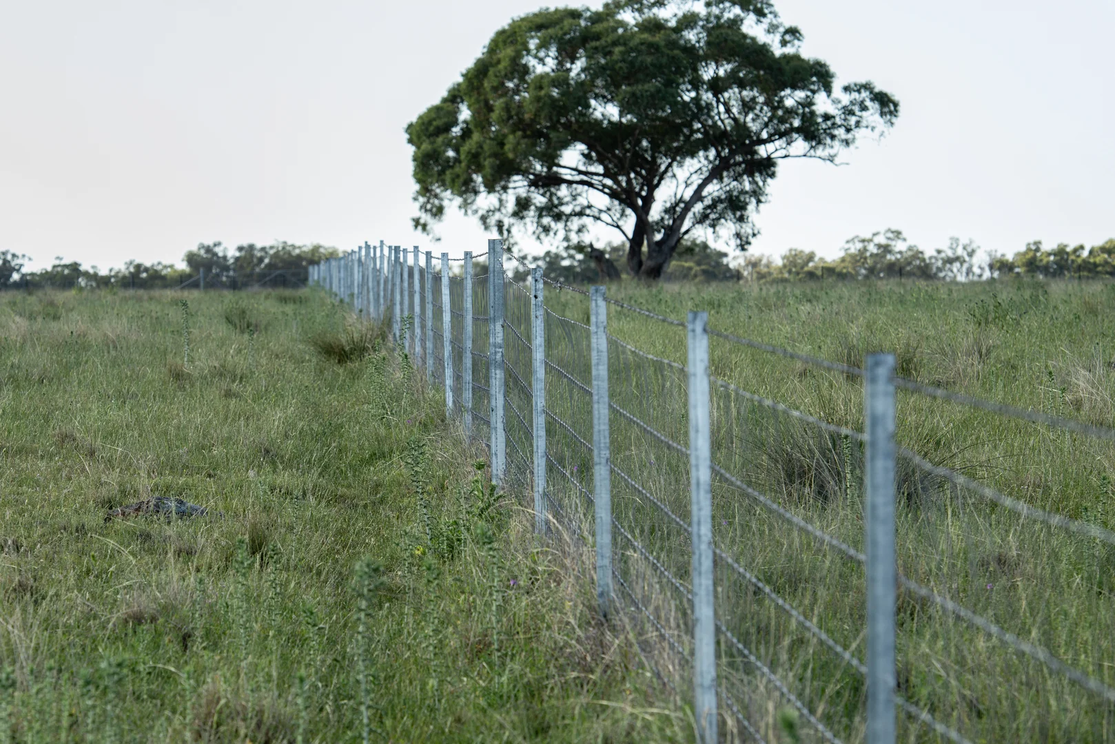 Additional image 19 of TIMBYDALE NEWELL HIGHWAY, Coonabarabran NSW 2357