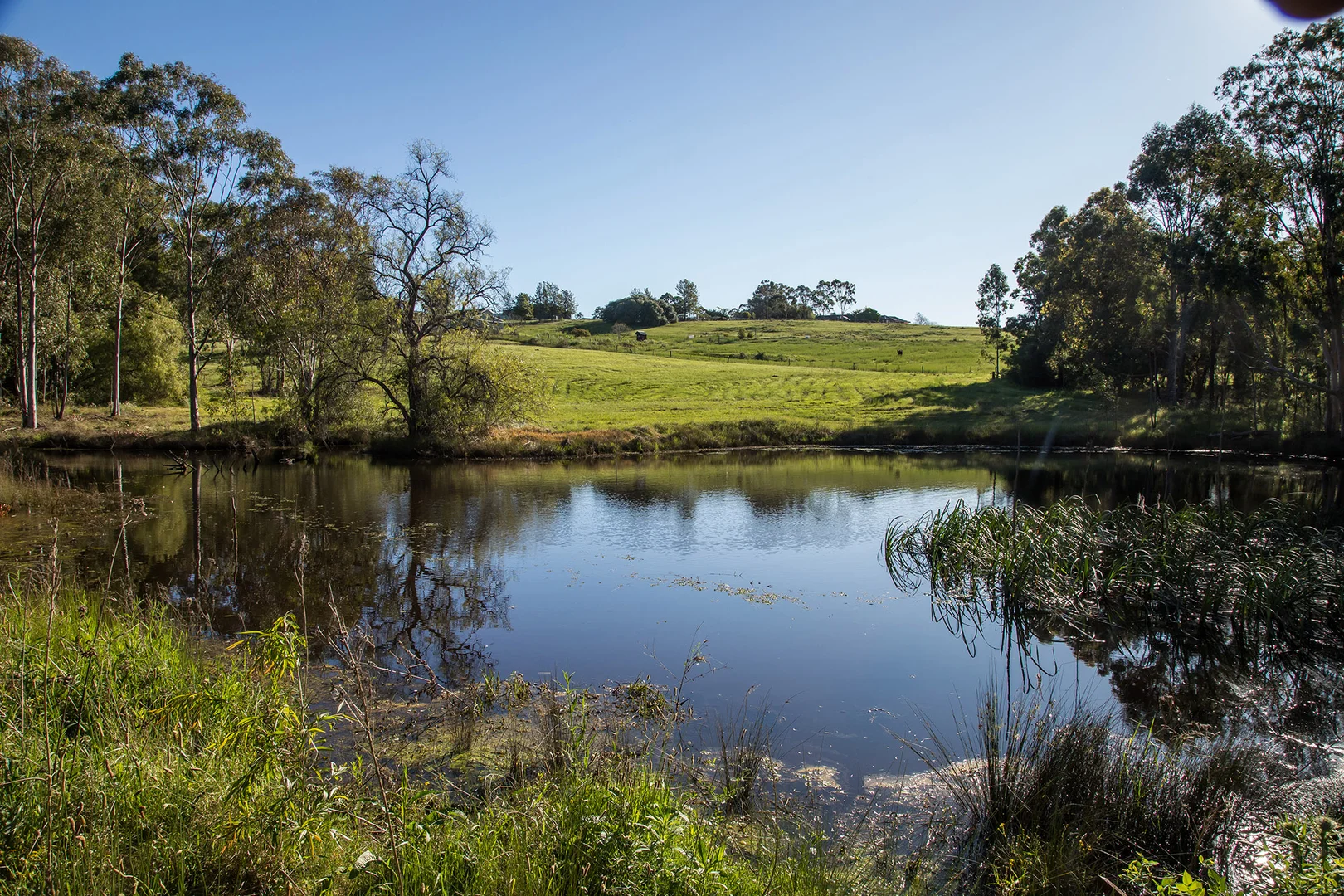 Additional image 8 of 450 Menangle Road, Menangle NSW 2568