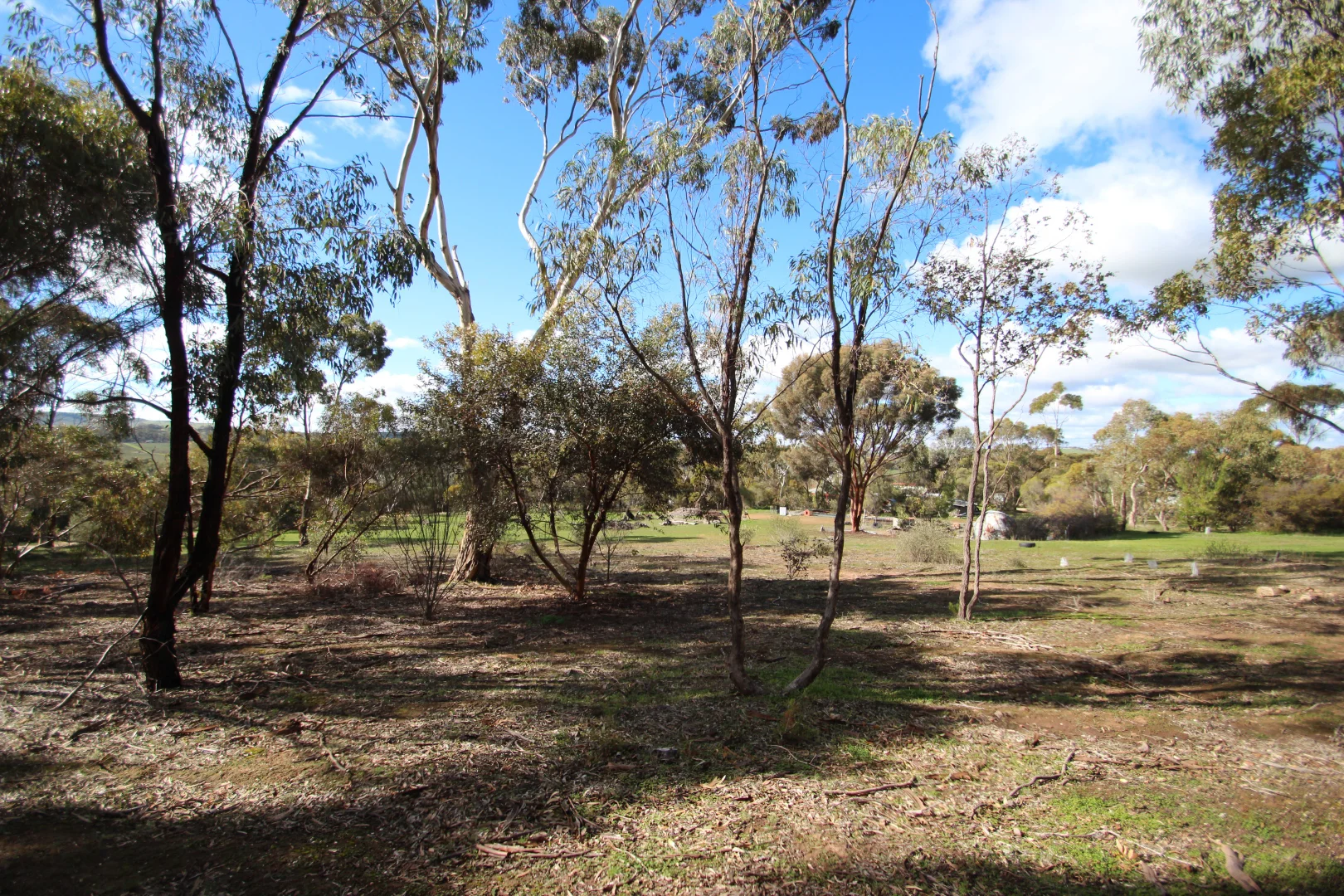 Additional image 4 of 8 West Terrace, Leasingham SA 5452