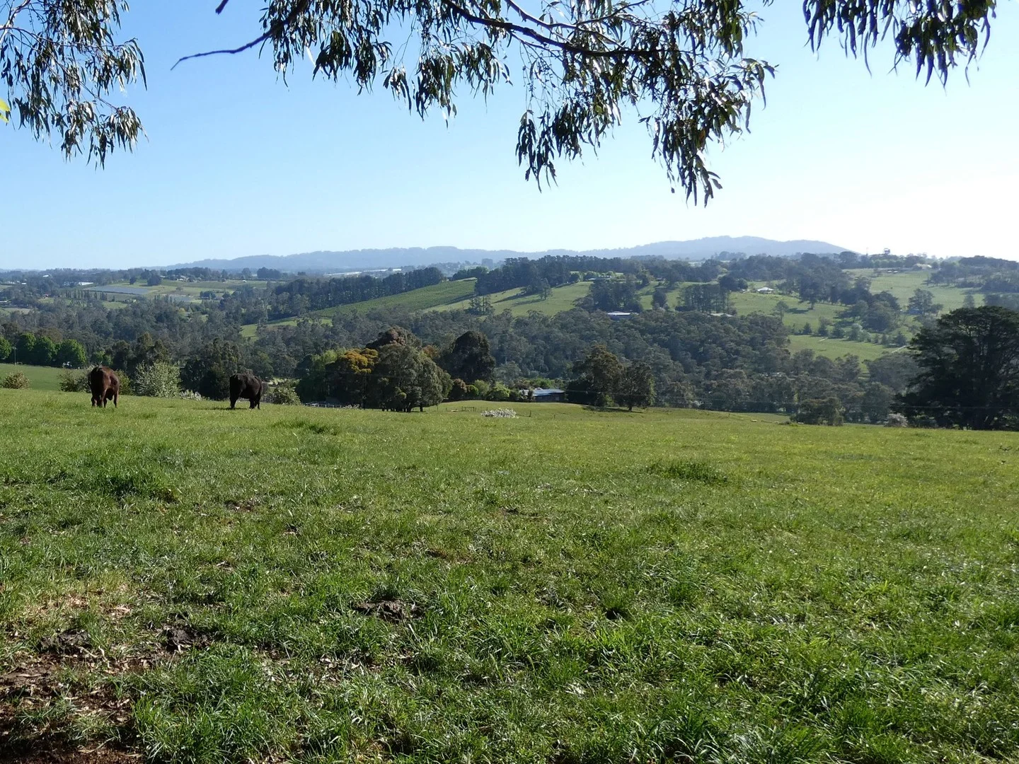 Additional image 27 of 35 Lakala Road, Seville VIC 3139