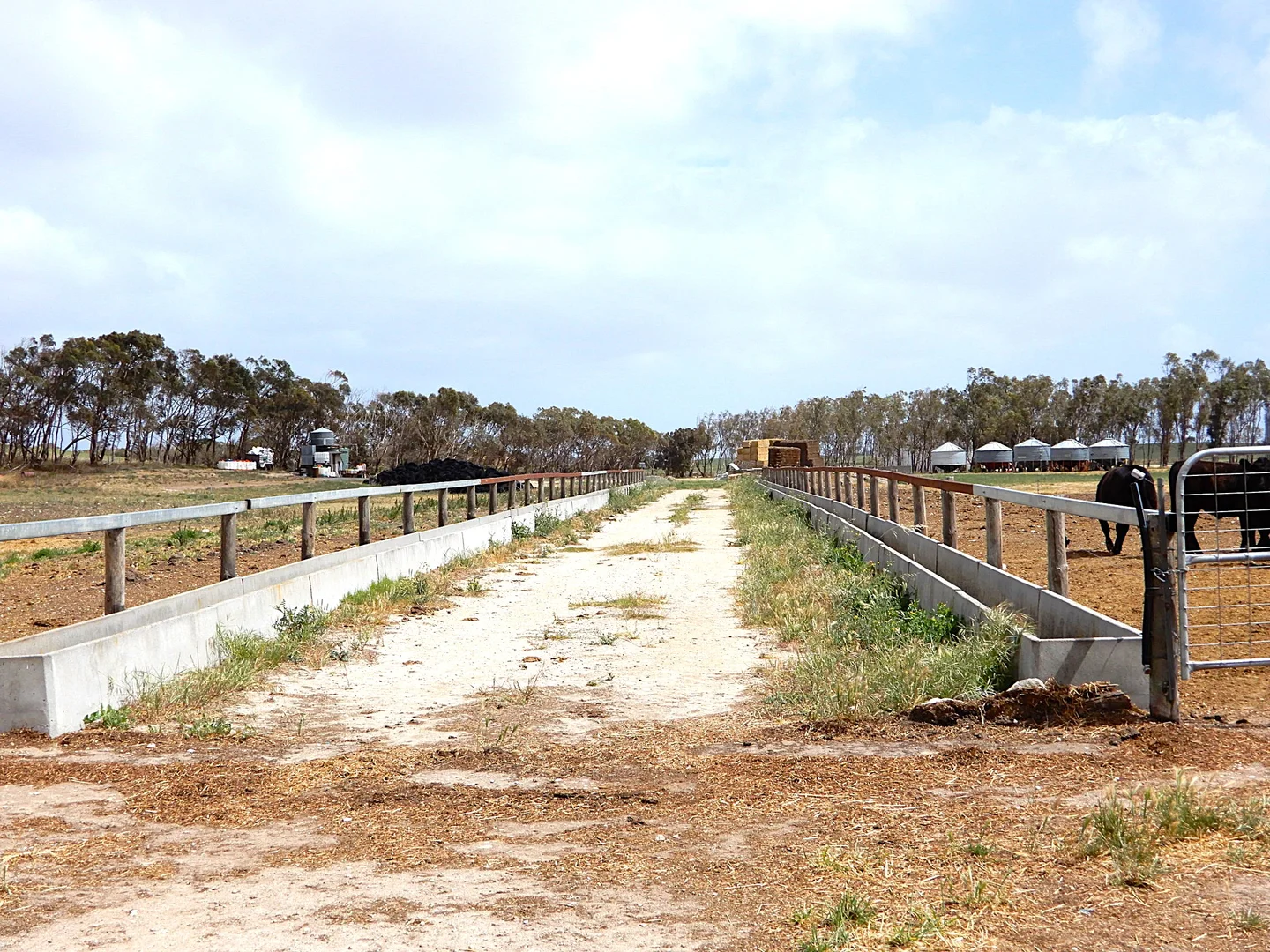 Additional image 17 of 252 Jabez Williams Road, Meningie SA 5264