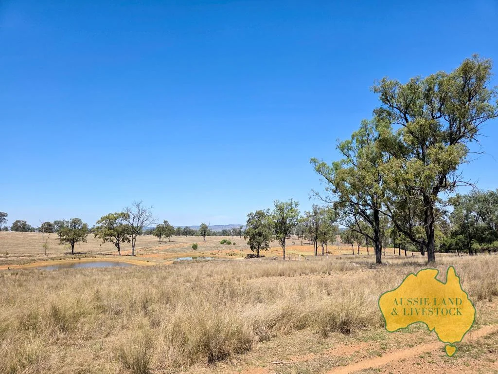 Additional image 48 of 110 BENHAMS ROAD, Mundubbera QLD 4626