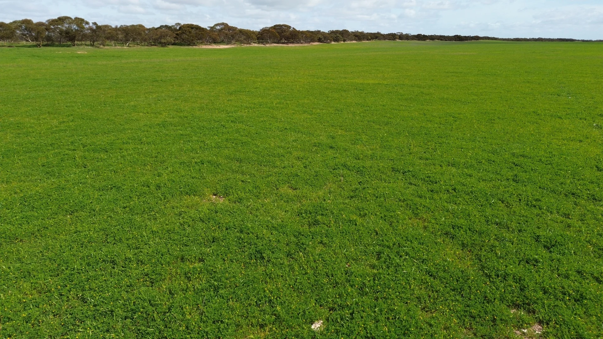 Additional image 15 of Lot/41 Skinner Road, Warramboo SA 5650