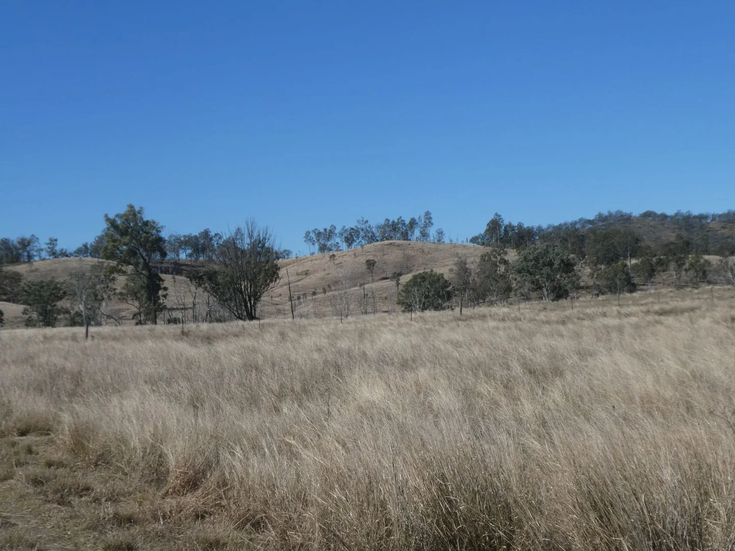 Additional image 15 of 59 Mungy Road, Mungy QLD 4671