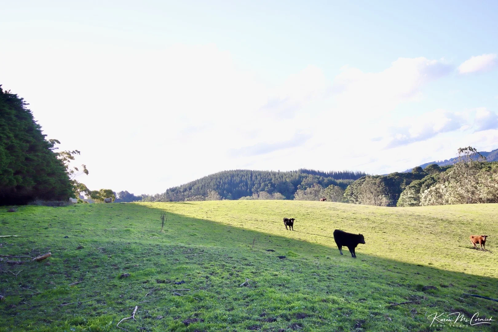 200 Wonga Square Top Road, Wonga VIC 3960