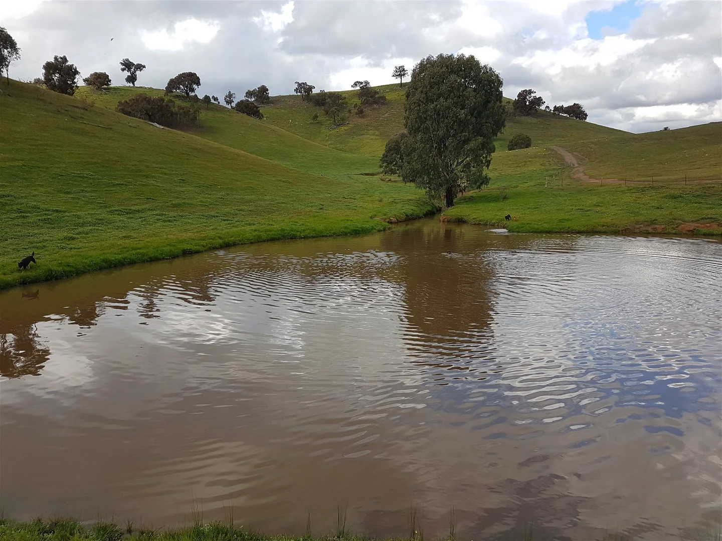 Additional image 9 of 3924 Hume Highway, Tarcutta NSW 2652