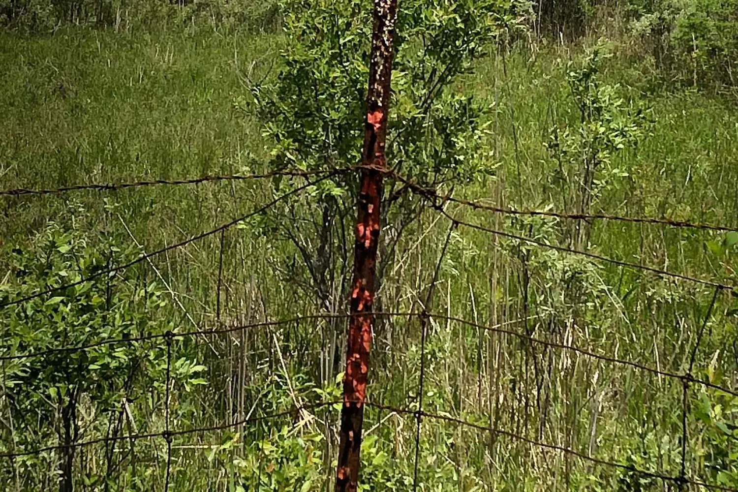 Additional image 2 of 3501 County Rd 15 Road