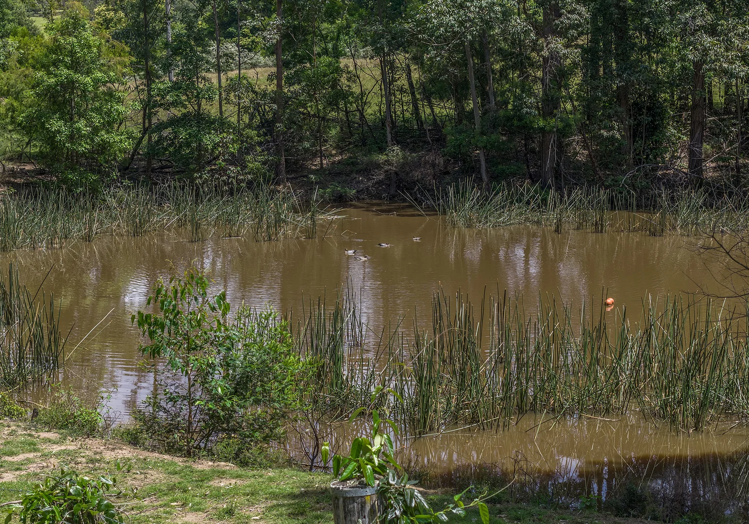 Additional image 31 of 1186A Illaroo Road, Tapitallee NSW 2540