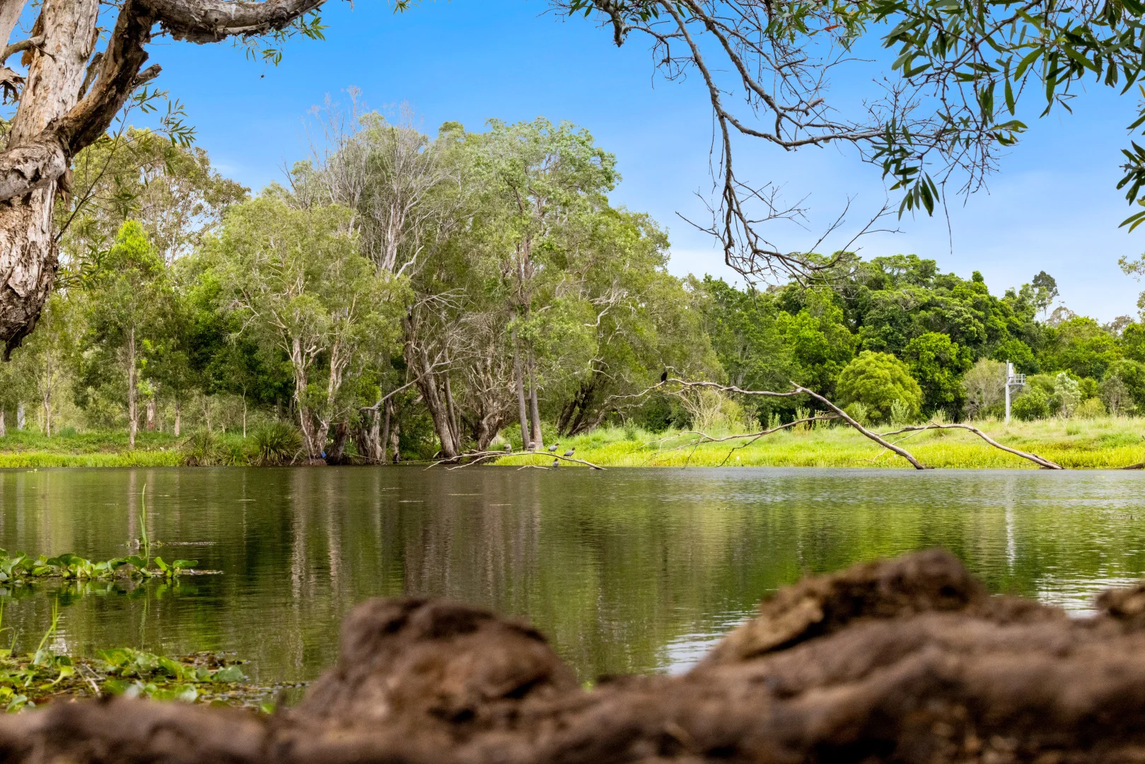 Additional image 11 of 6 Canando Street, Woodford QLD 4514