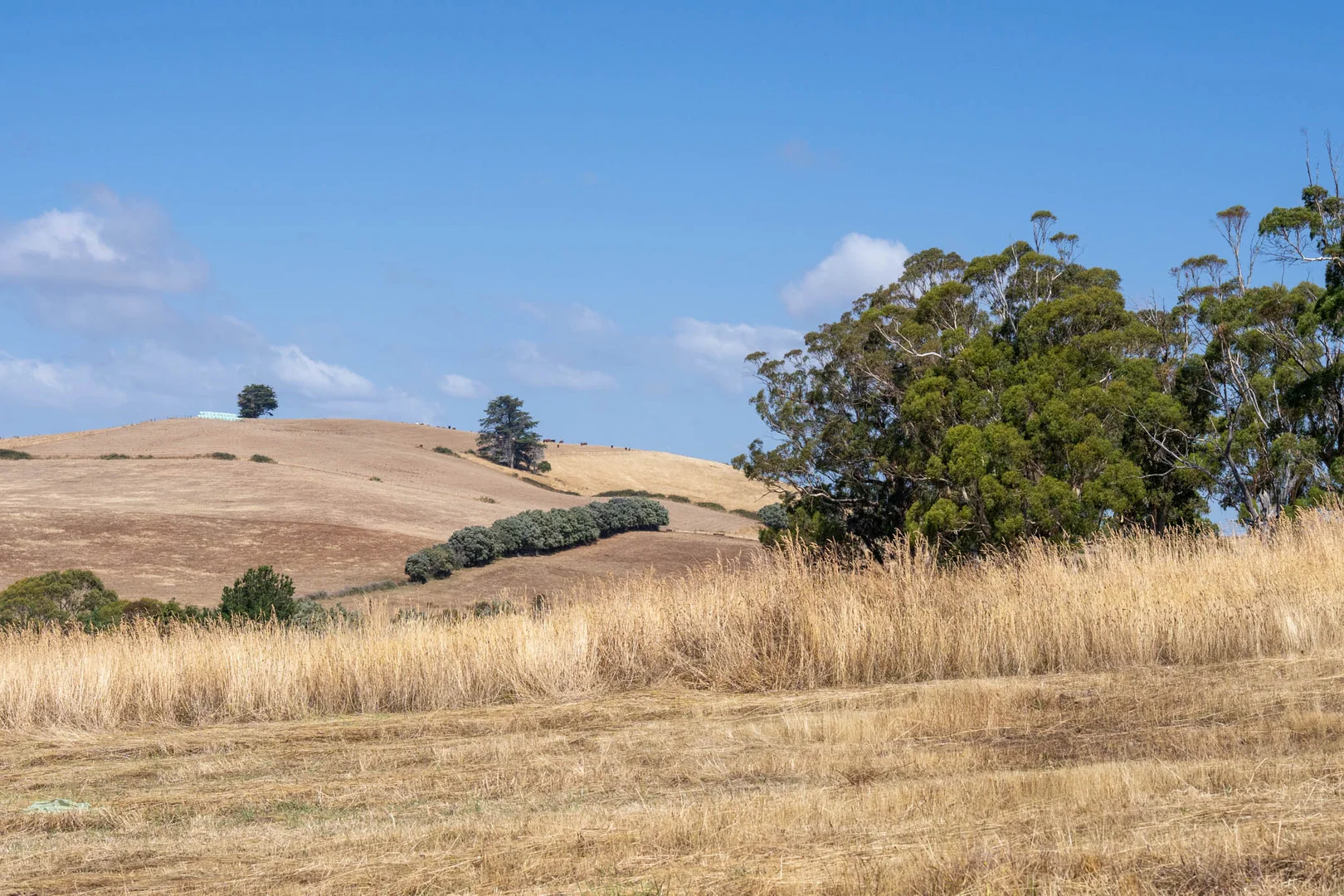 Additional image 16 of Ulverstone Rise, Ulverstone TAS 7315