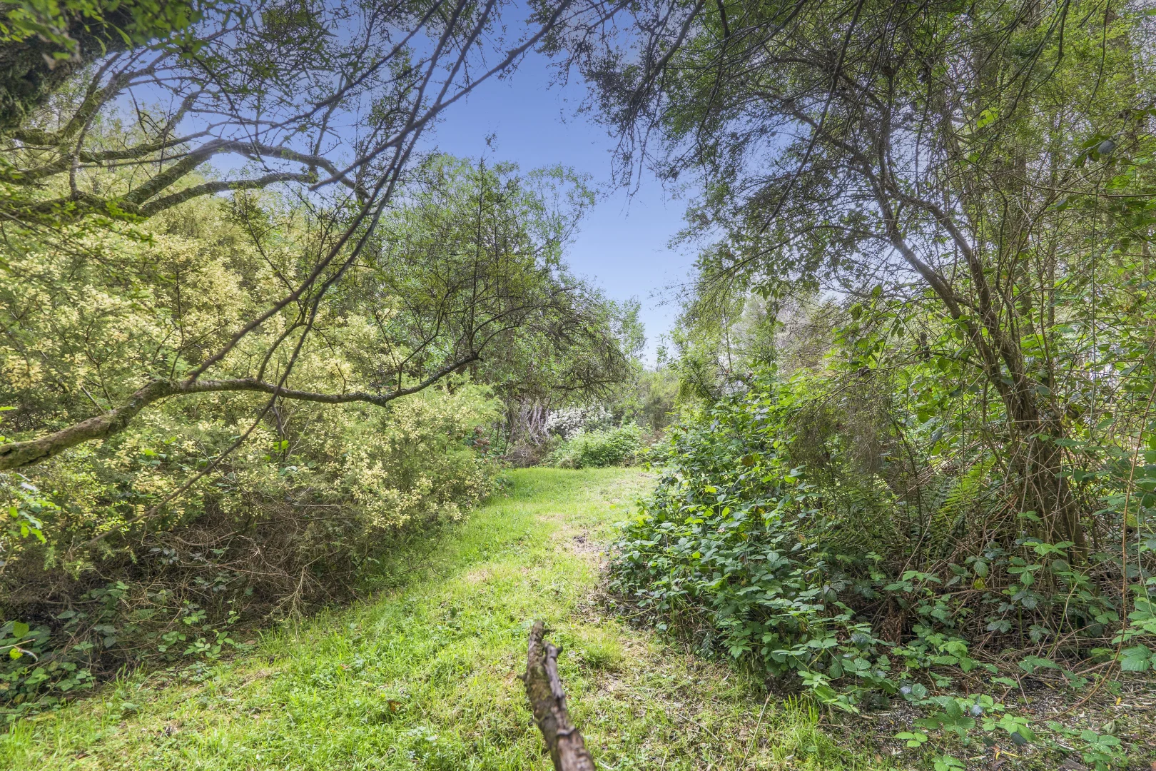 Additional image 6 of 170 Blue Johanna Road, Johanna VIC 3238