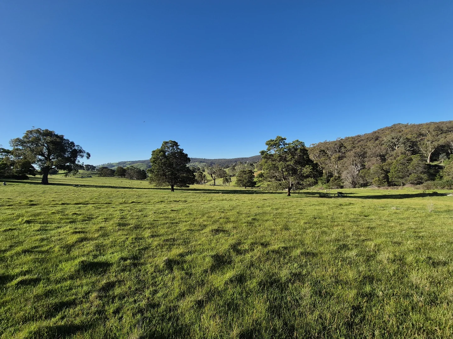 Additional image 50 of 665 Fernhills Road, Marraweeney VIC 3669